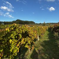 Bevagna-Montefalco_EP (1) Bevagna-Montefalco_EP (1)