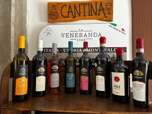 Umbria: Wine tasting