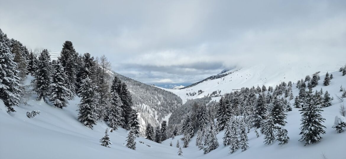 Val di Fiemme- Trentino