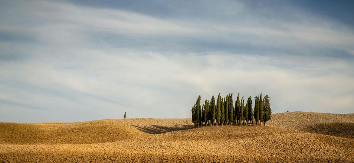 https://www.pexels.com/it-it/foto/alberi-verdi-su-una-collina-3591321/