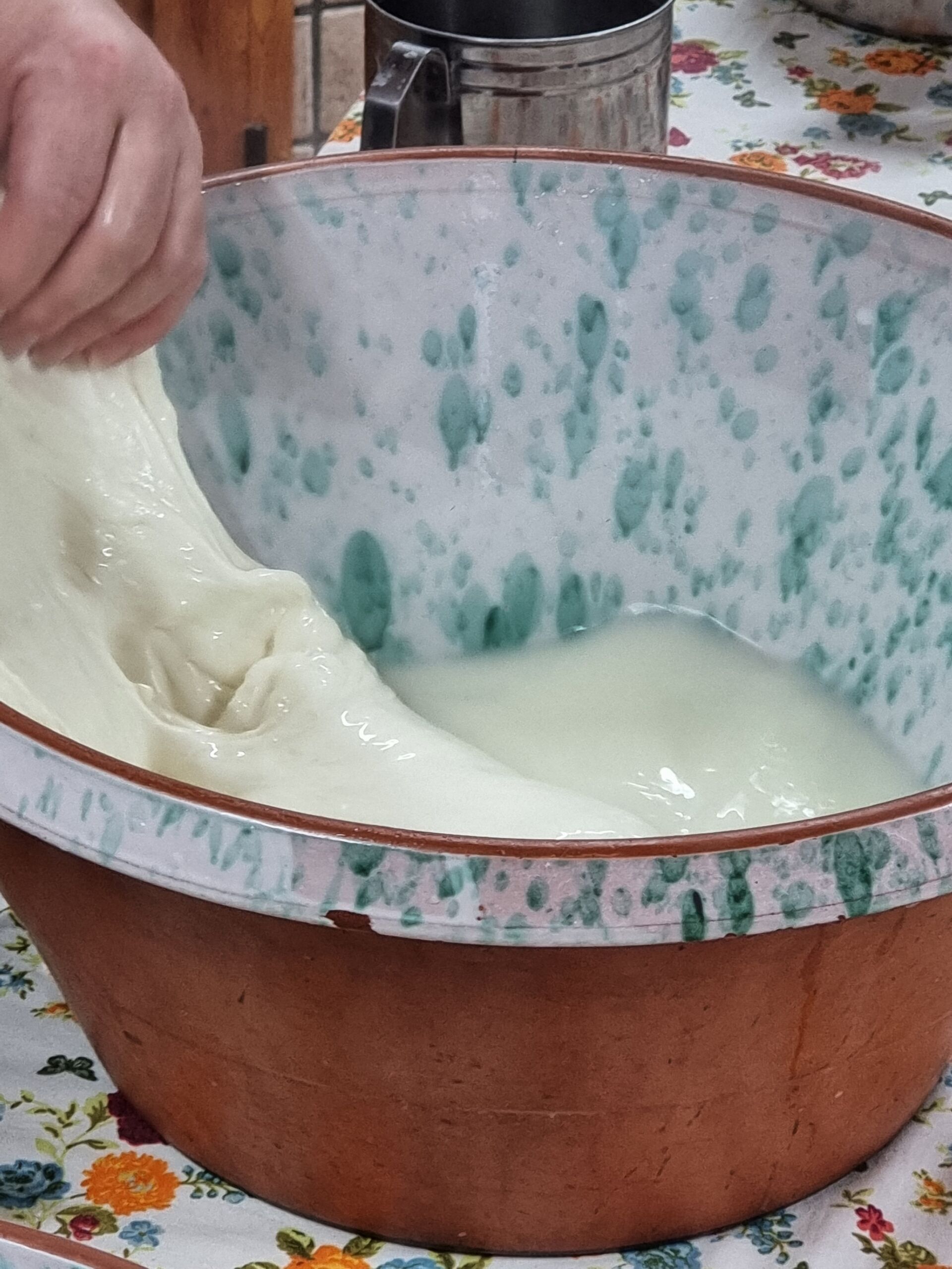 Turuziello, italian farm, mozzarella di bufata