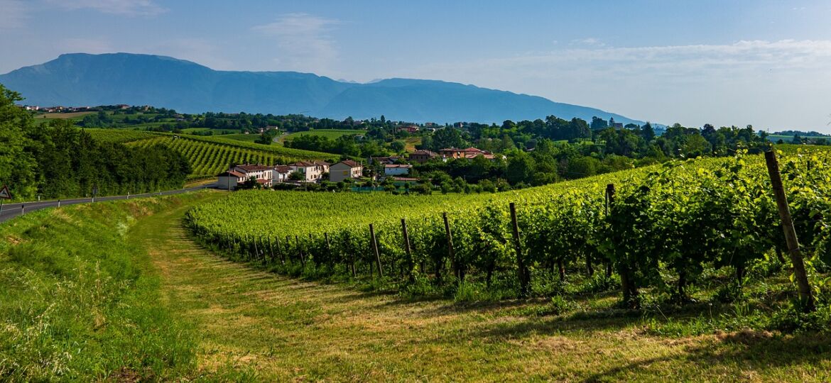 Veneto, Italy, wine region
